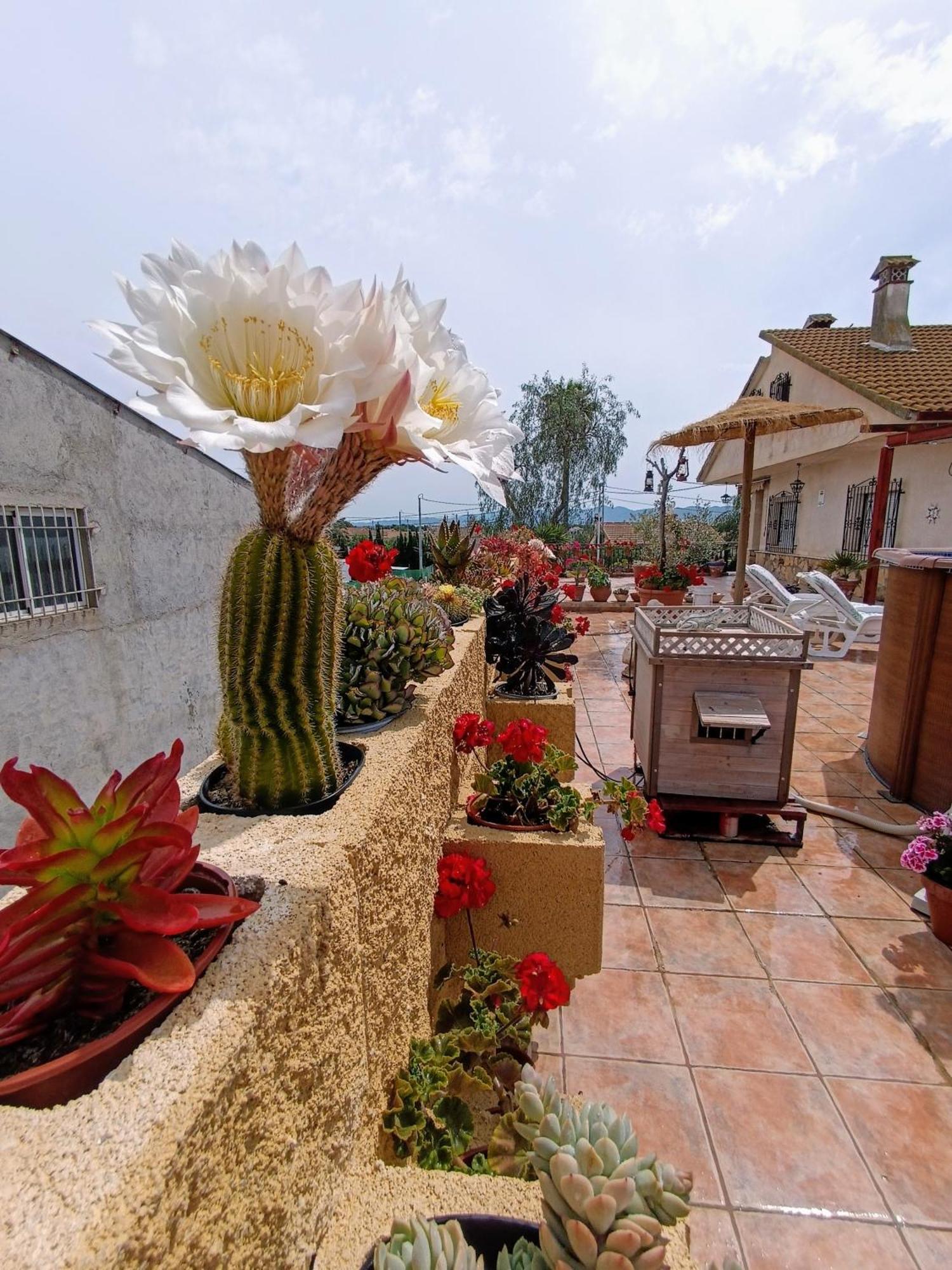 Casa Chalet Venta Ruizo 로르카 외부 사진
